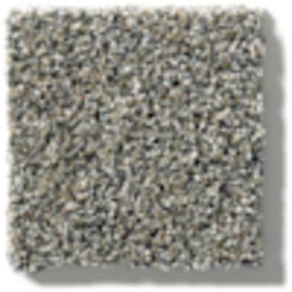 Shaw Hudson River Tumbled Rock Texture Carpet with Pet Perfect Plus-Sample
